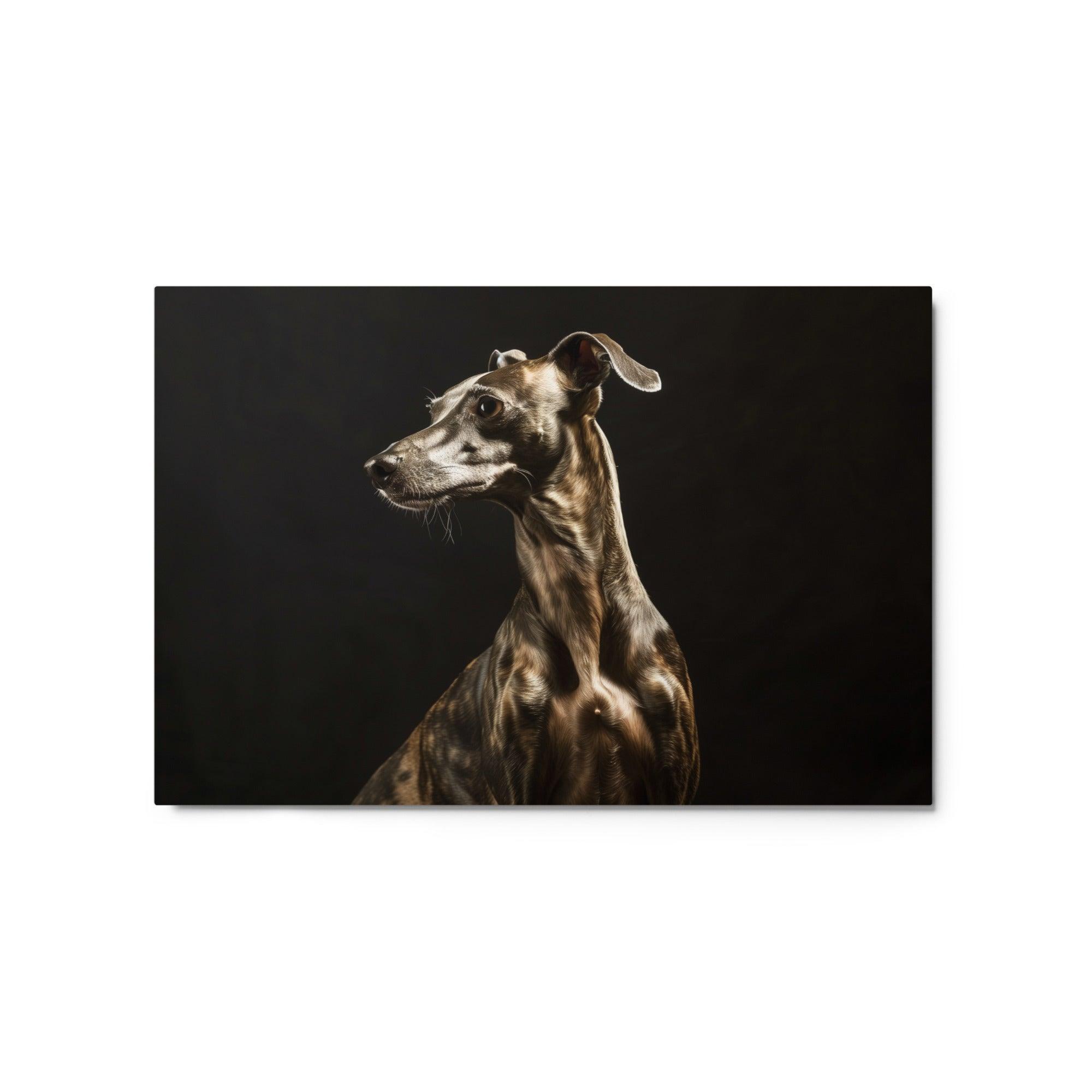 Italian Greyhound in Dramatic Lighting Studio Metal Poster - Oh Posters