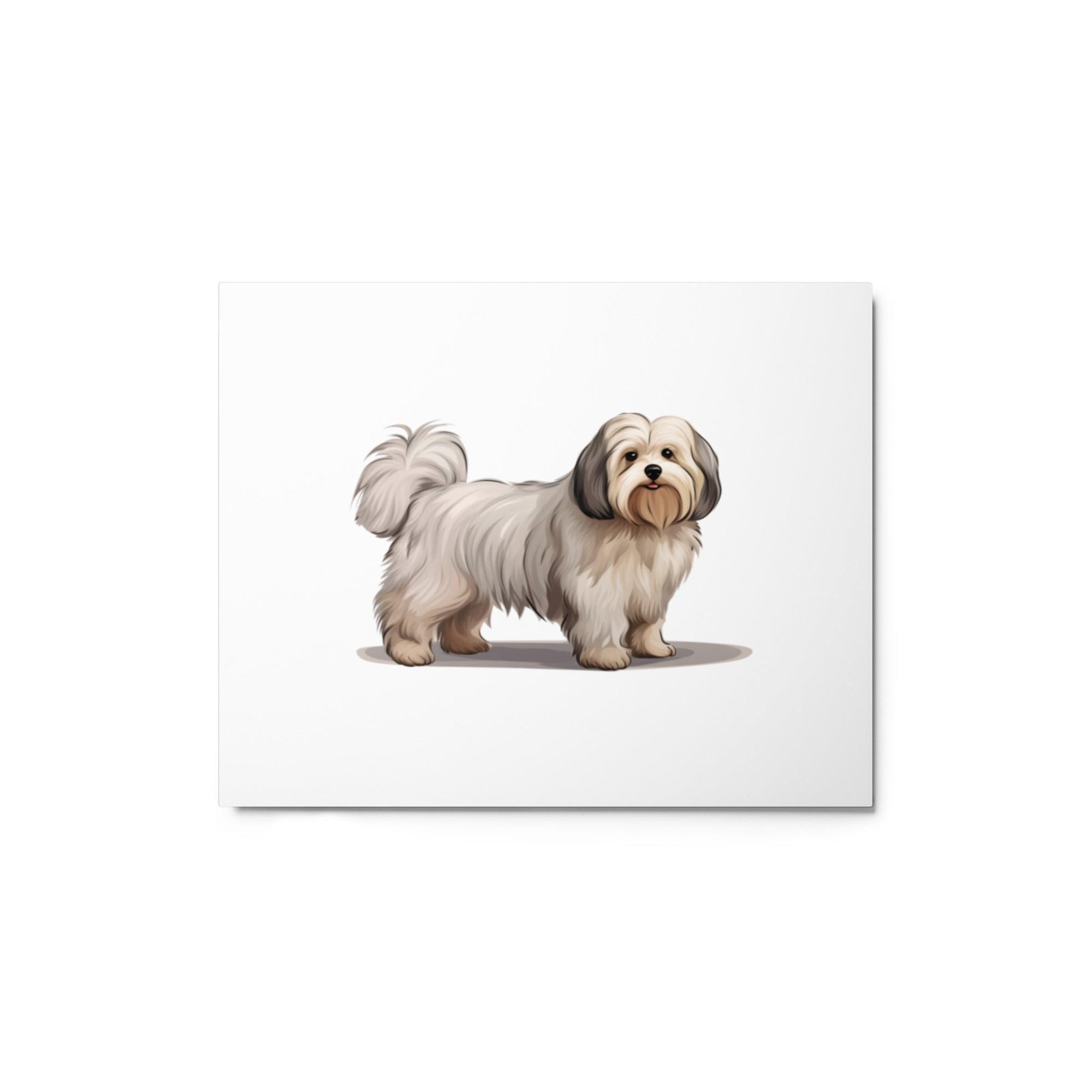 Coton De Tulear Dog Illustration with Detailed Fur Texture Metal Poster - Oh Posters