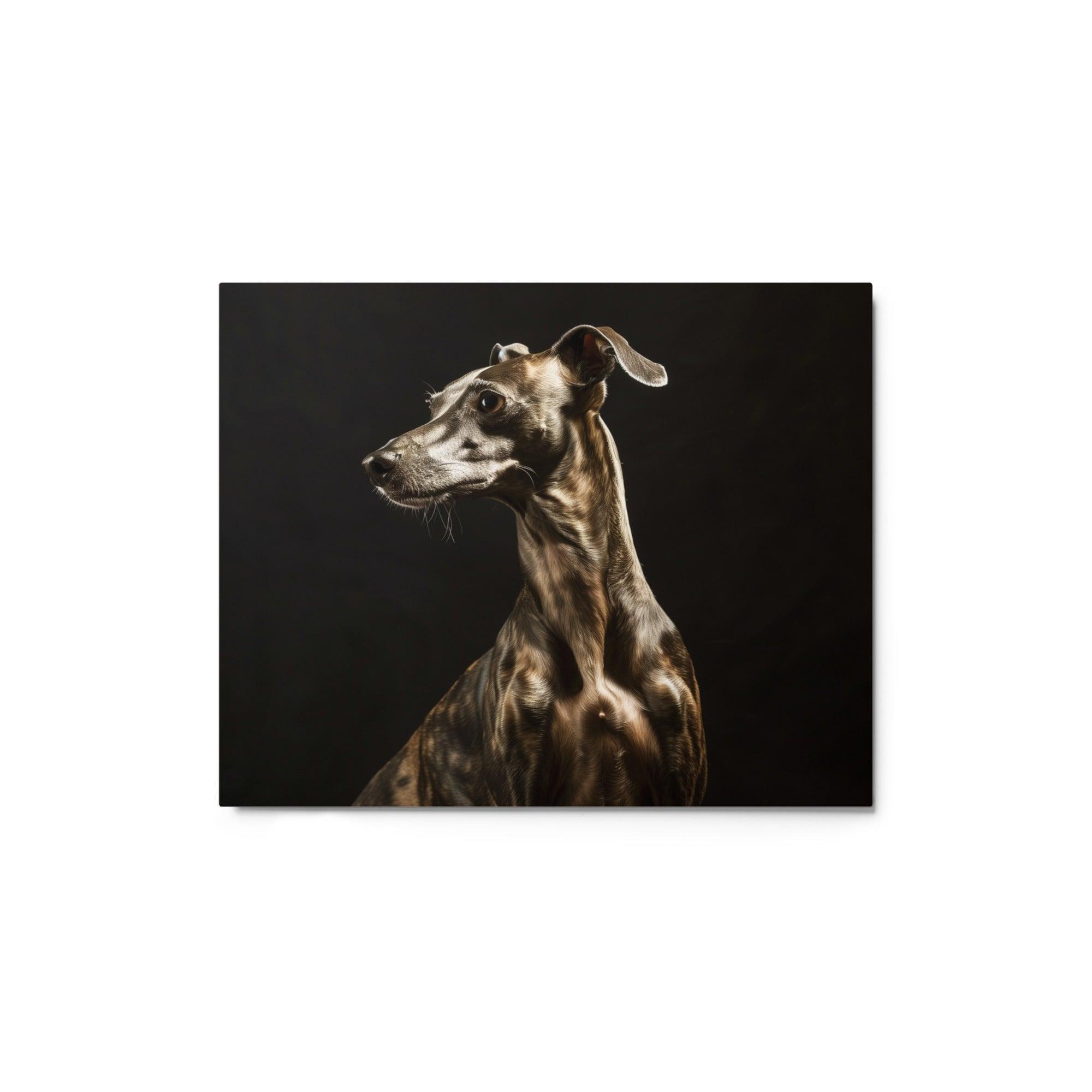 Italian Greyhound in Dramatic Lighting Studio Metal Poster - Oh Posters